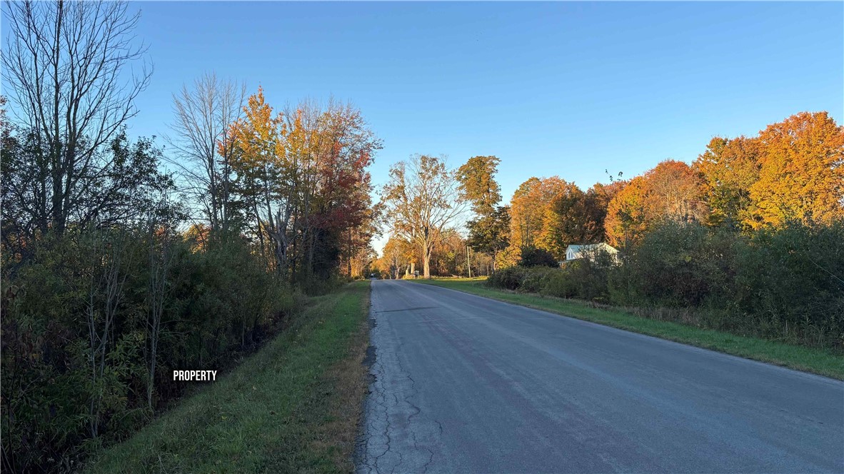 287 White Road Parish, NY 13131 - Photo 17 of 27