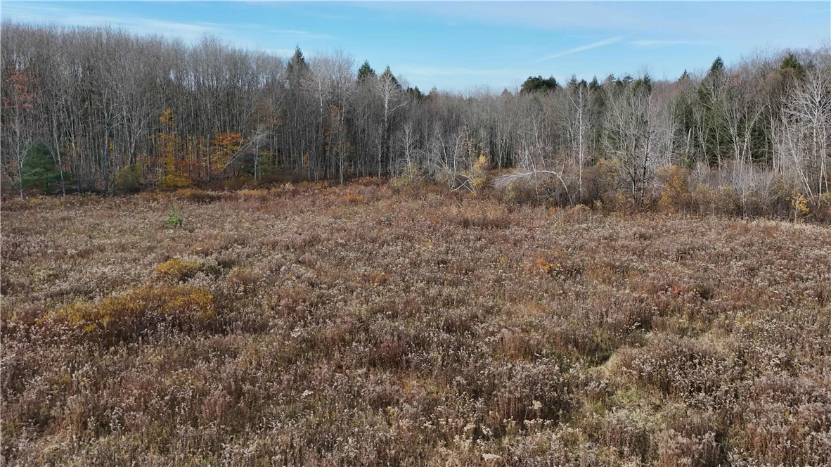 287 White Road Parish, NY 13131 - Photo 23 of 27
