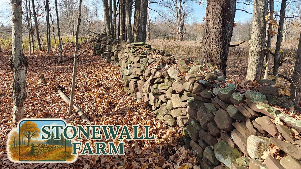 287 White Road Parish, NY 13131 - Photo 27 of 27