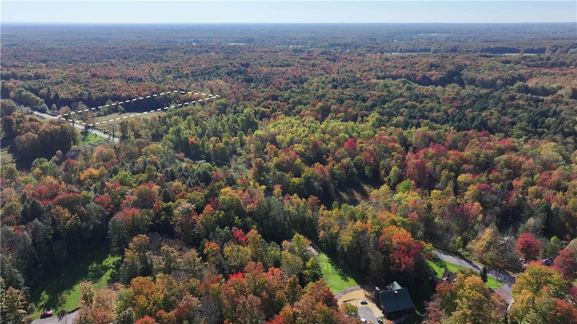 287 White Road Parish, NY 13131 - Photo 4 of 27