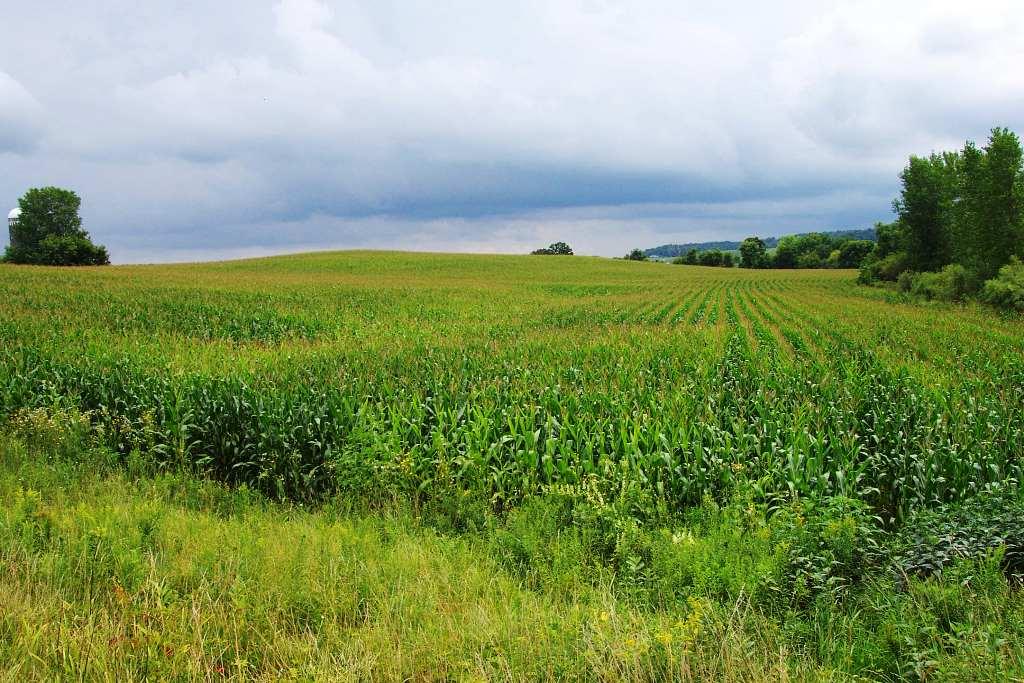 Lot 1 County Rd K Boyceville, WI 54725 - Photo 1 of 1 Gallery Image 1
