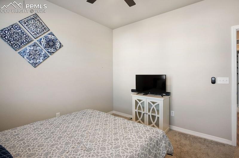10480 Summer Ridge Drive Peyton, CO 80831 - Photo 24 of 30 a bedroom with a bed and a flat screen tv