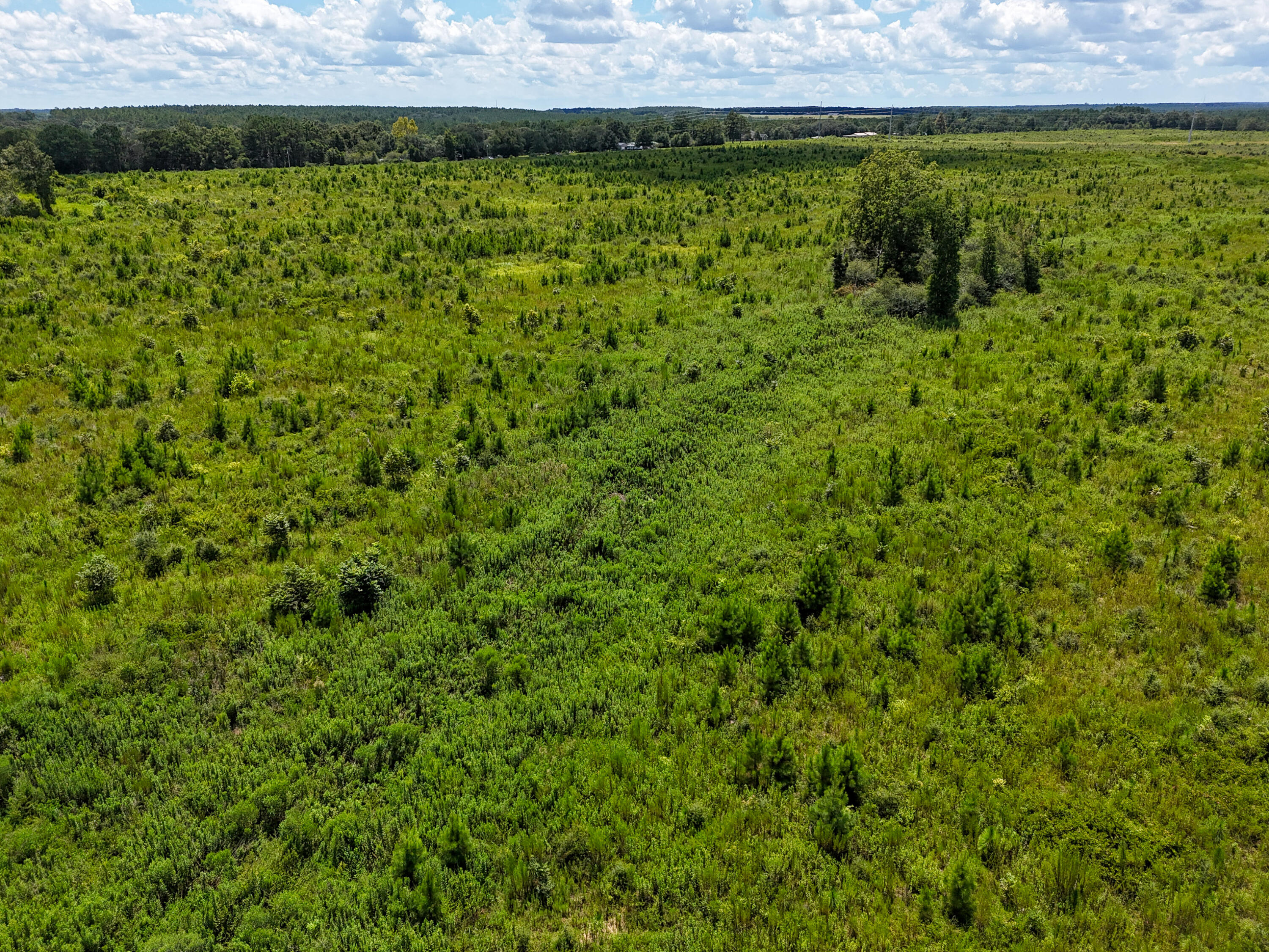 2a Rd Defuniak Springs DeFuniak Springs, FL 32433 - Photo 5 of 21 DJI_20260812010111_0066_D