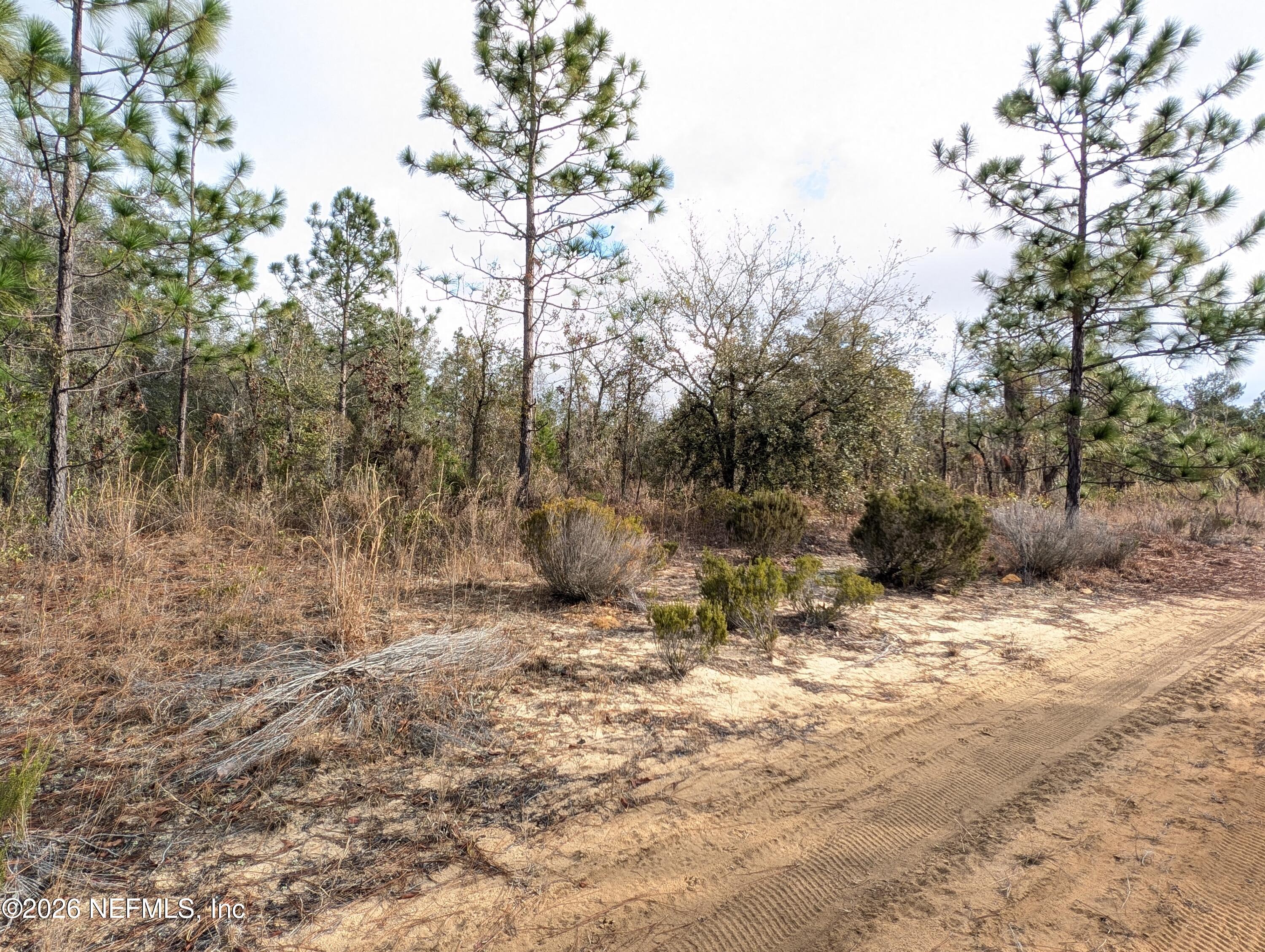 430 Cherry Street Interlachen, FL 32148 - Photo 2 of 7 LOTS 430 THRU 436 CHERRY ST 5