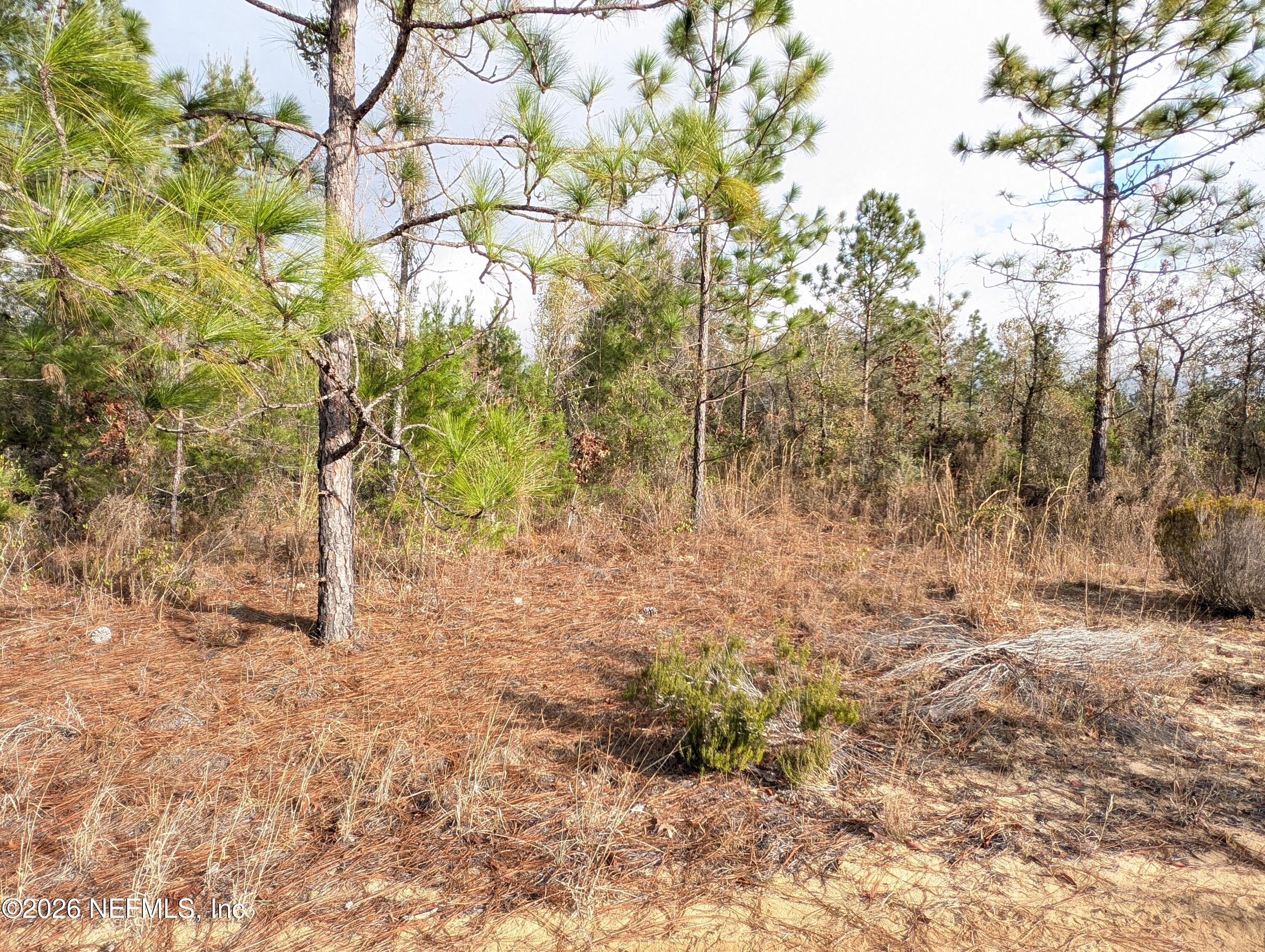 430 Cherry Street Interlachen, FL 32148 - Photo 3 of 7 LOTS 430 THRU 436 CHERRY ST 3