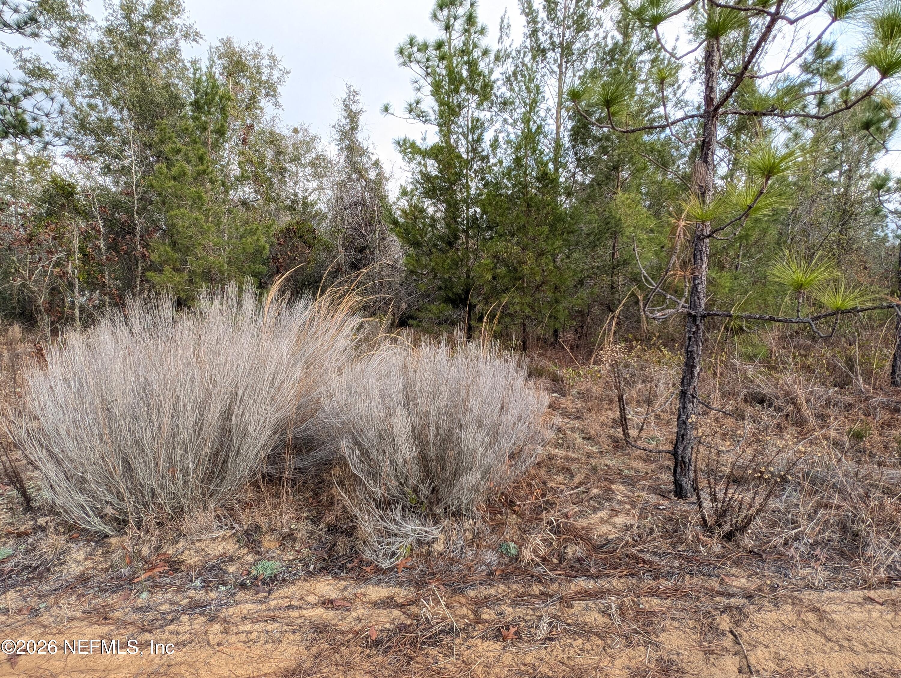 430 Cherry Street Interlachen, FL 32148 - Photo 4 of 7 LOTS 430 THRU 436 CHERRY ST