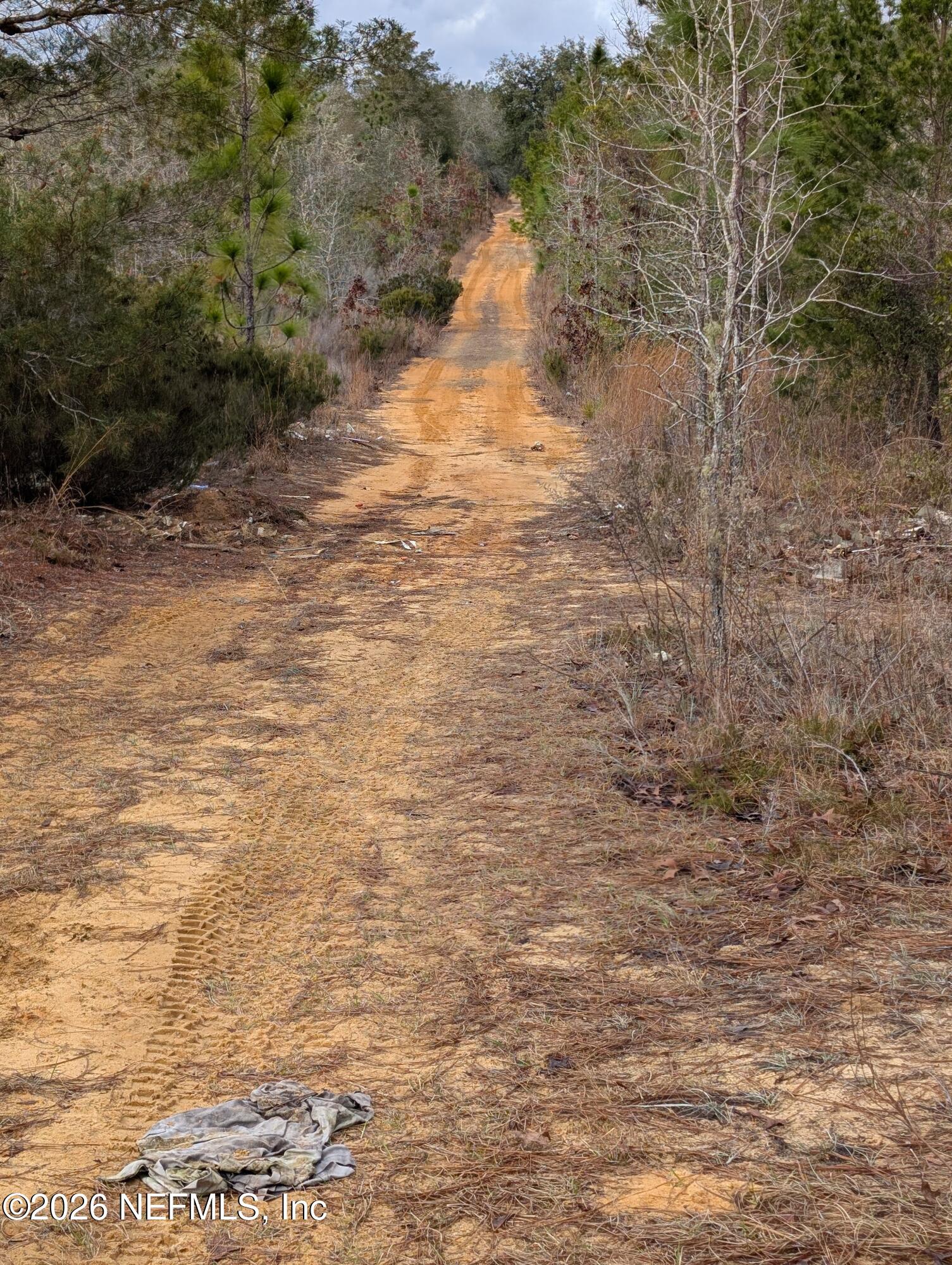 430 Cherry Street Interlachen, FL 32148 - Photo 7 of 7 LOTS 432 THRU 436 CHERRY ST