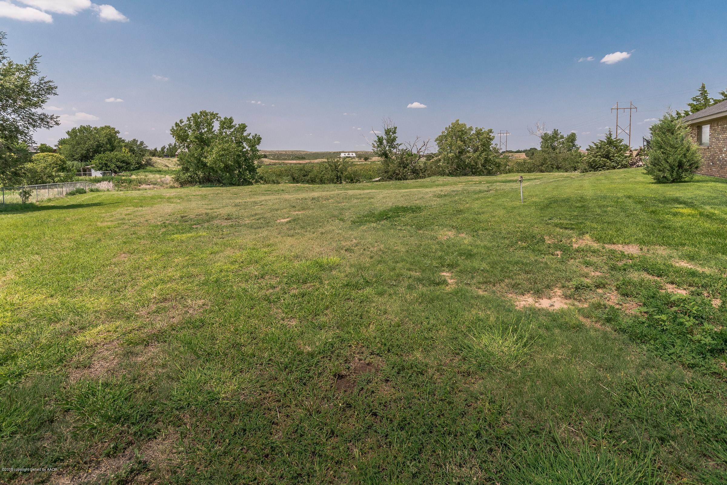 4201 Soncy Road Amarillo, TX 79124 - Photo 33 of 41 033_Back Pasture