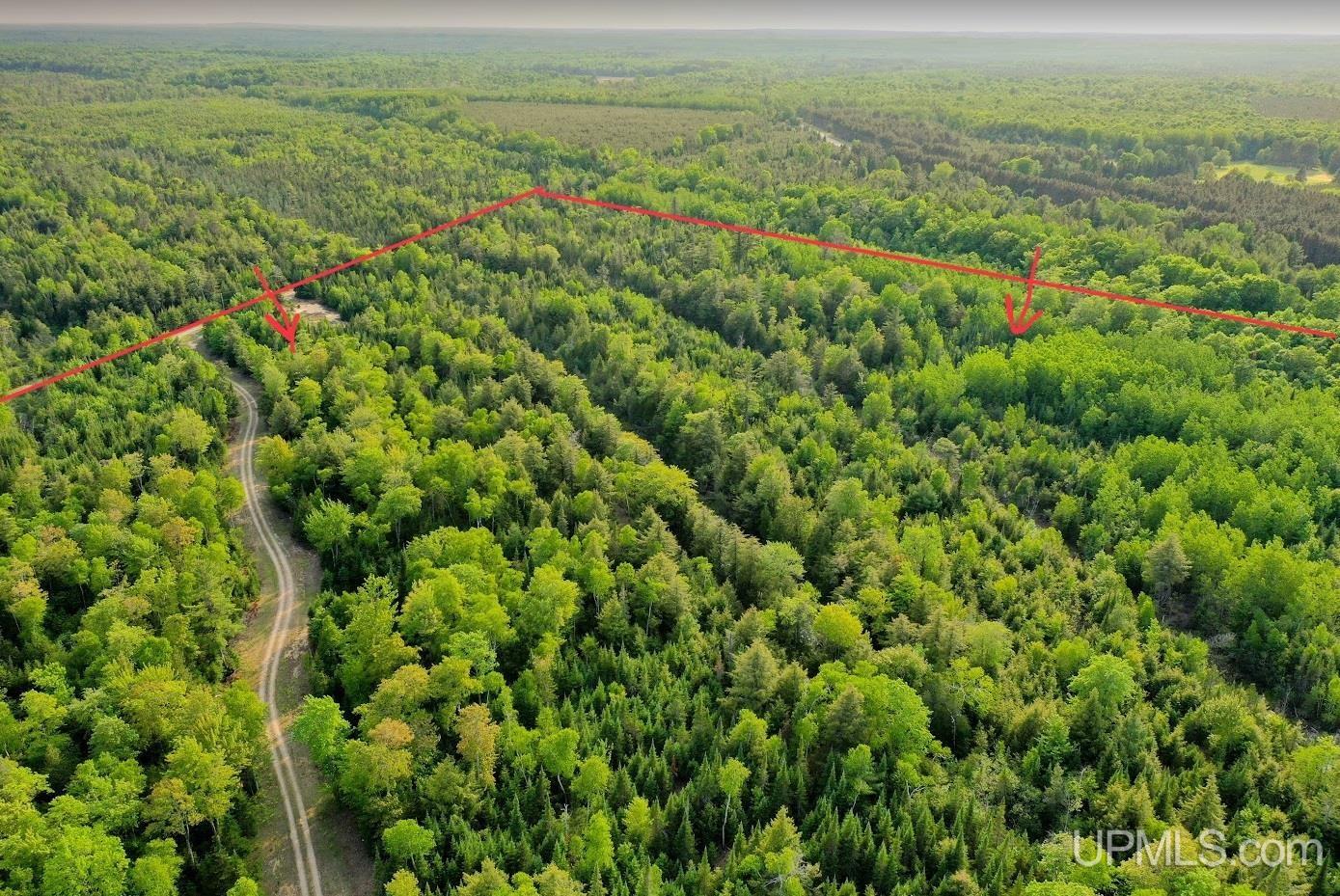 Tbd Co Rd 435 Common Manistique, MI 49854 - Photo 11 of 14