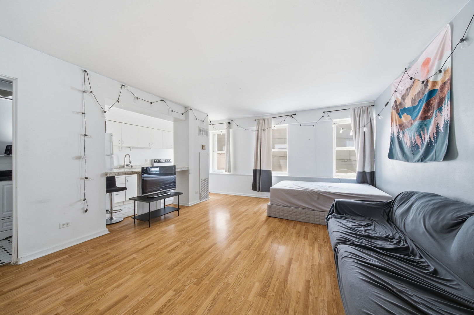 40 East 9th Street, Unit 712 Chicago, IL 60605 - Photo 3 of 26 a living room with furniture and a wooden floor