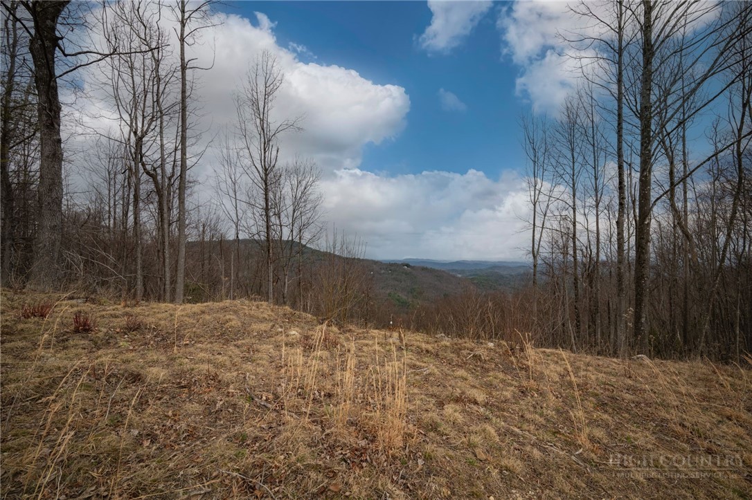 147 Angelfire Trail Deep Gap, NC 28618 - Photo 2 of 10
