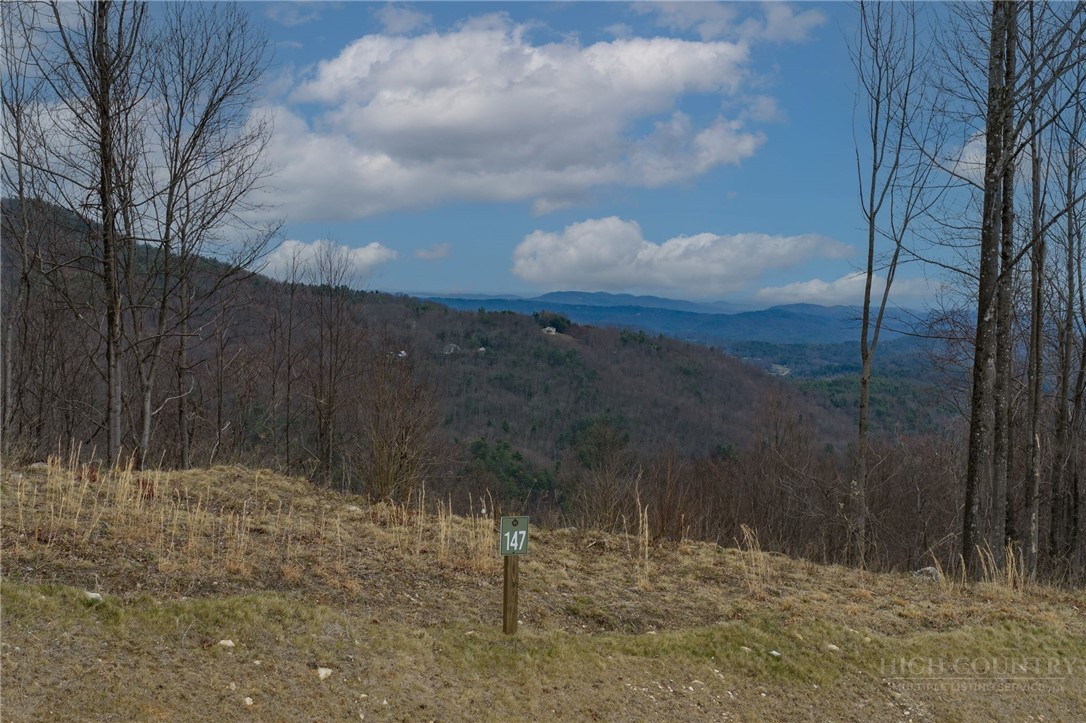 147 Angelfire Trail Deep Gap, NC 28618 - Photo 3 of 10 a view of a yard