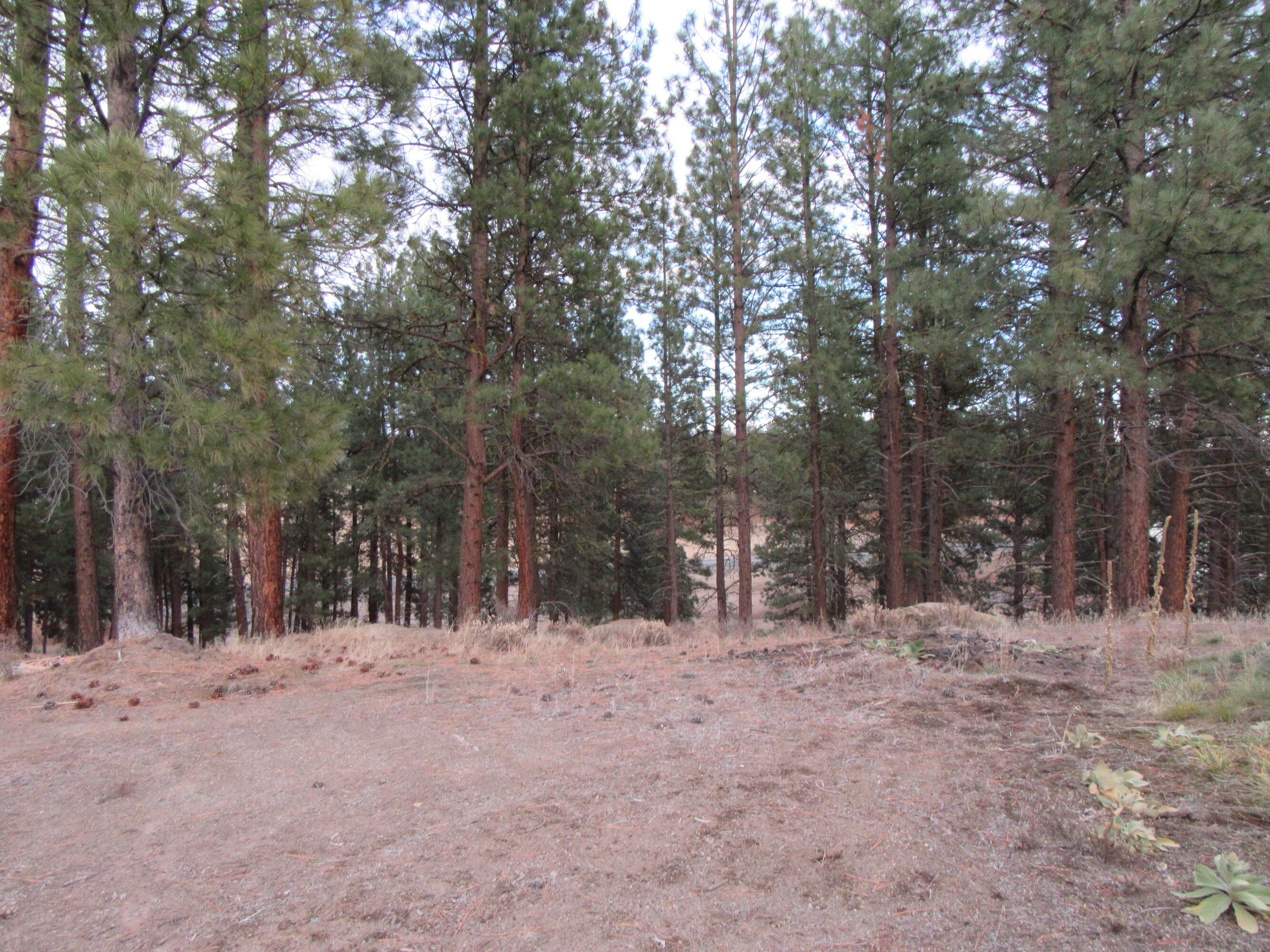 16144 Sprague River Road Chiloquin, OR 97624 - Photo 64 of 81 Gorgeous Pines 1