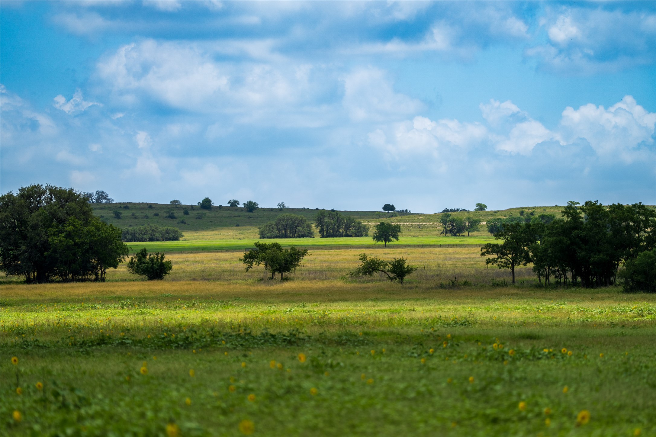 302 Hye-Albert Road Hye, TX 78635 - Photo 24 of 34 View of local wilderness with rural landscape and a pastoral area