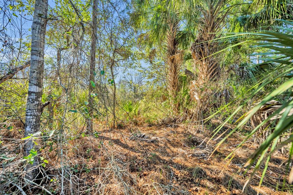 0 West Osceola Road West Geneva, FL 32732 - Photo 11 of 21