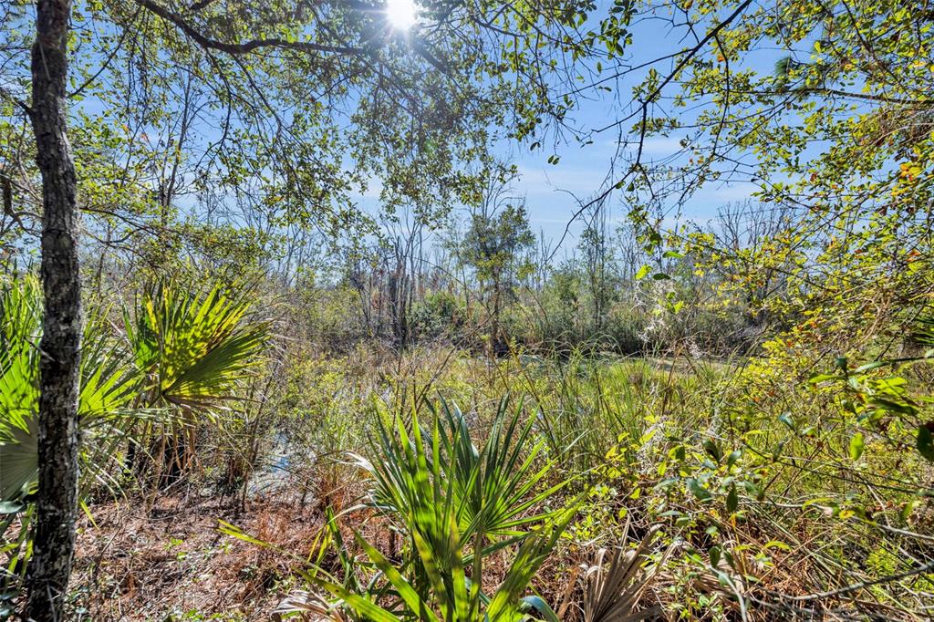 0 West Osceola Road West Geneva, FL 32732 - Photo 12 of 21