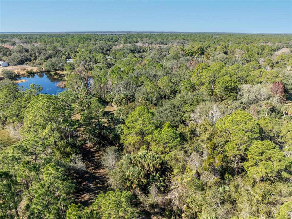 0 West Osceola Road West Geneva, FL 32732 - Photo 16 of 21