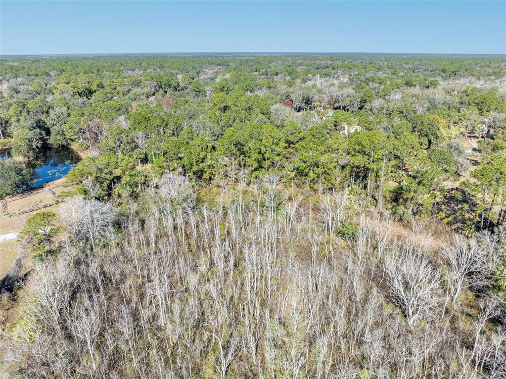 0 West Osceola Road West Geneva, FL 32732 - Photo 18 of 21