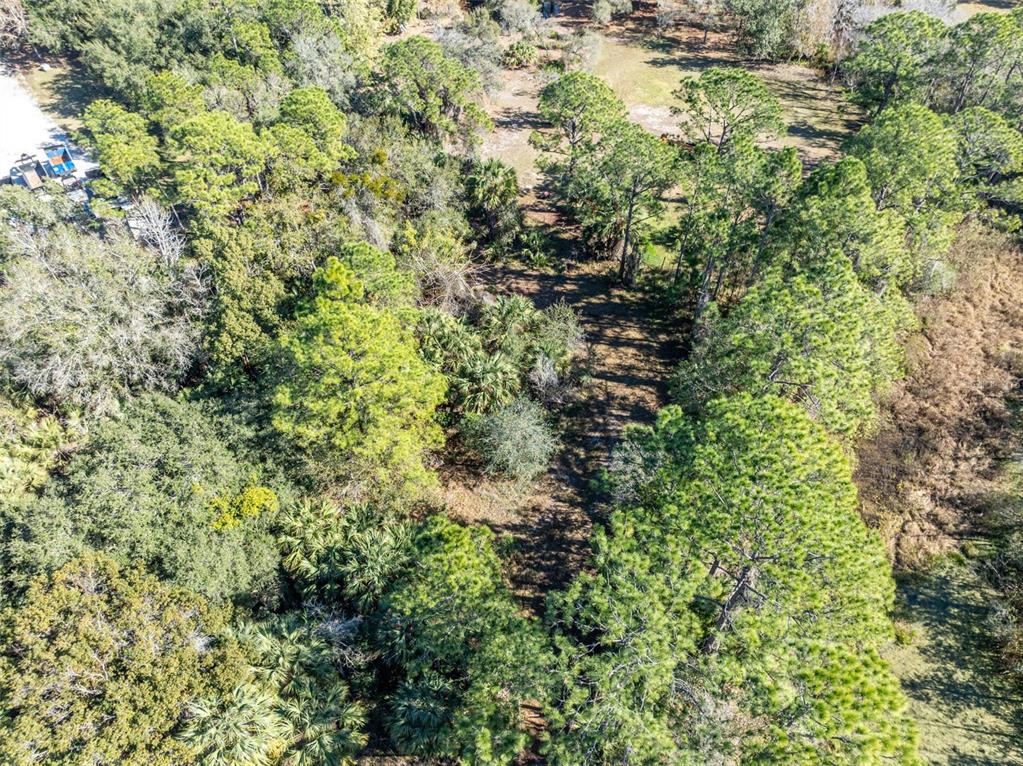 0 West Osceola Road West Geneva, FL 32732 - Photo 19 of 21