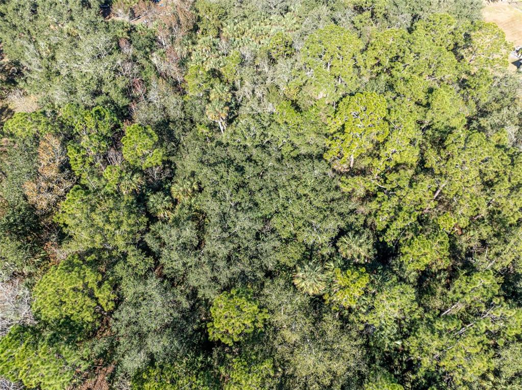 0 West Osceola Road West Geneva, FL 32732 - Photo 20 of 21