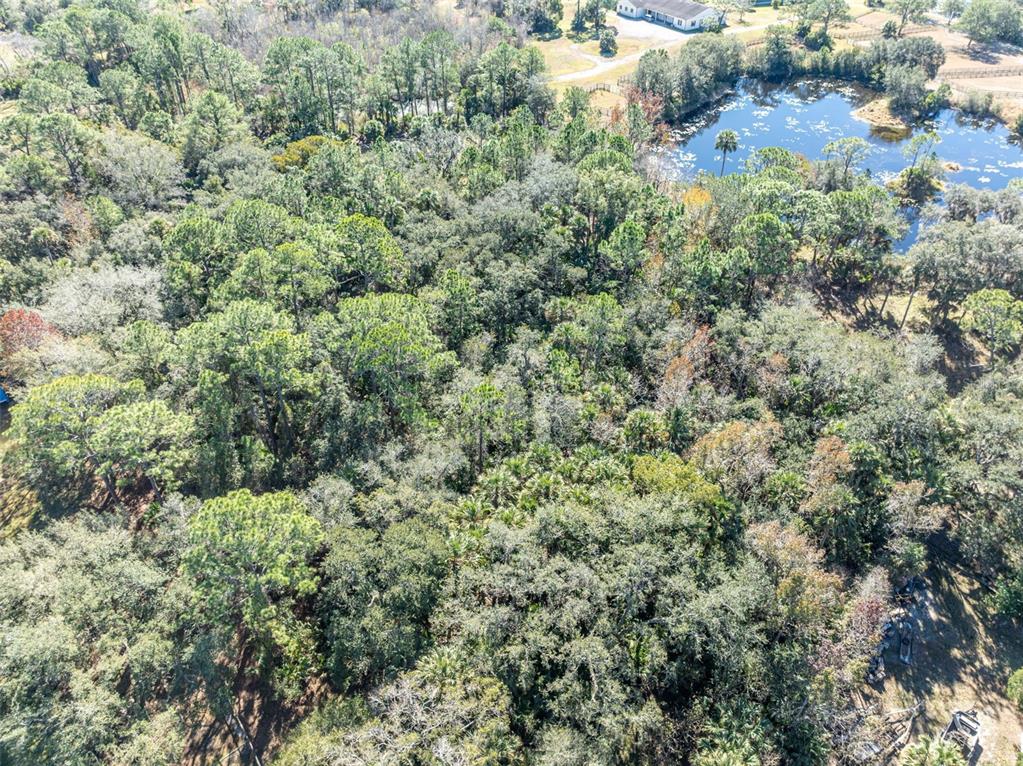 0 West Osceola Road West Geneva, FL 32732 - Photo 21 of 21