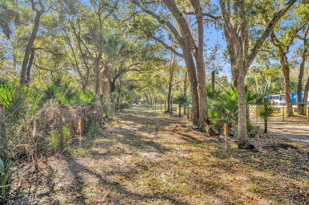 0 West Osceola Road West Geneva, FL 32732 - Photo 5 of 21