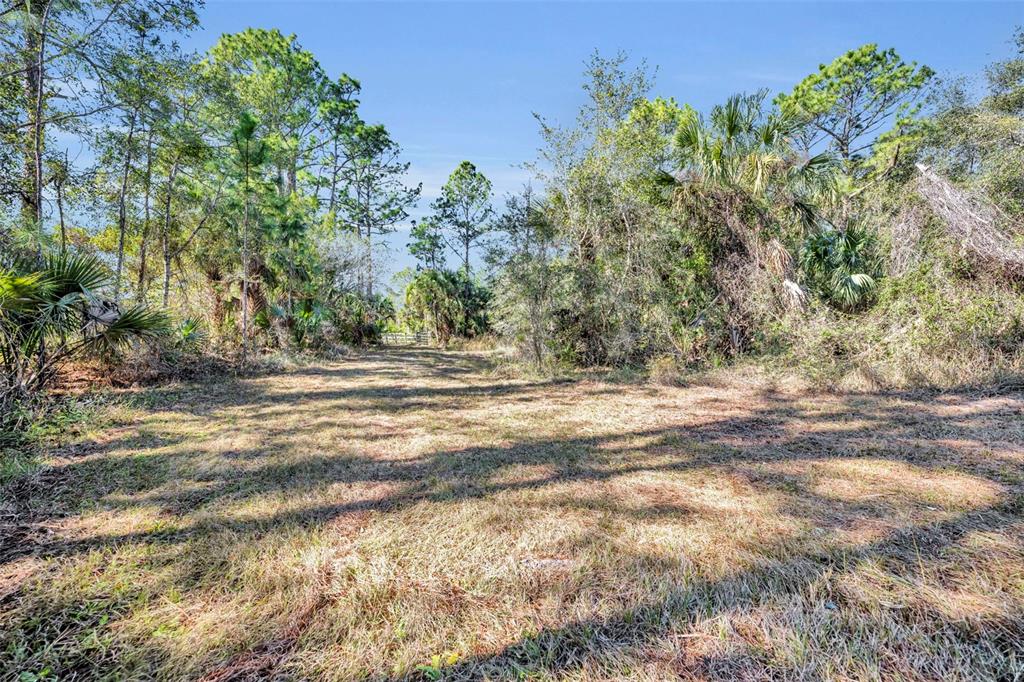 0 West Osceola Road West Geneva, FL 32732 - Photo 6 of 21