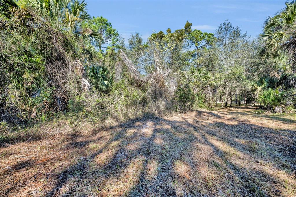 0 West Osceola Road West Geneva, FL 32732 - Photo 7 of 21