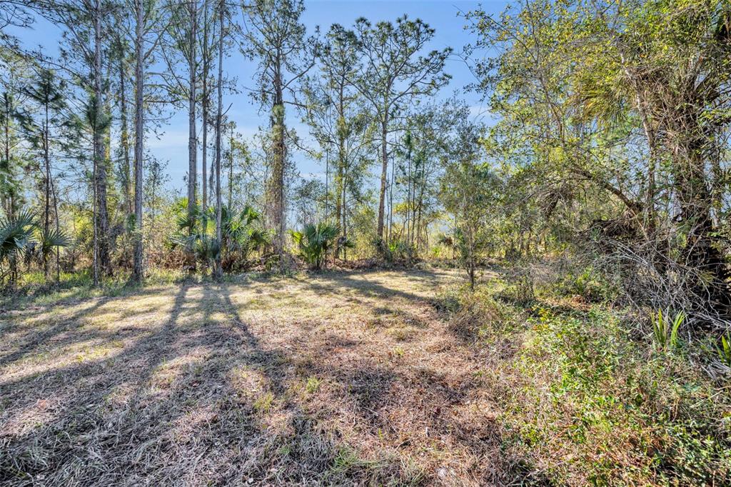 0 West Osceola Road West Geneva, FL 32732 - Photo 8 of 21