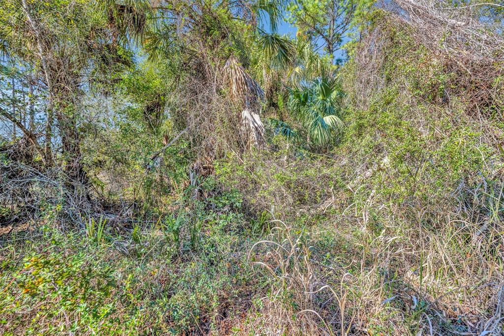 0 West Osceola Road West Geneva, FL 32732 - Photo 9 of 21