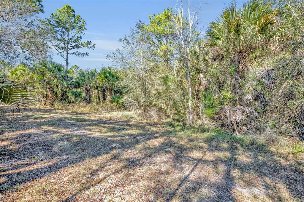 0 West Osceola Road West Geneva, FL 32732 - Photo 10 of 21