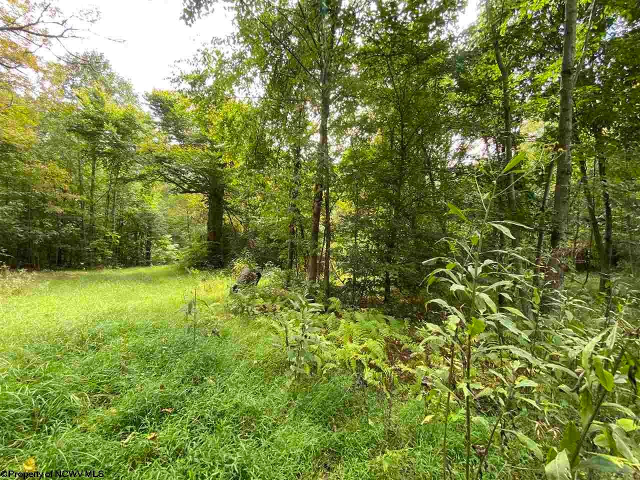 Tbd Helens Run Road Worthington, WV 26591 - Photo 15 of 18 Gallery Image 15