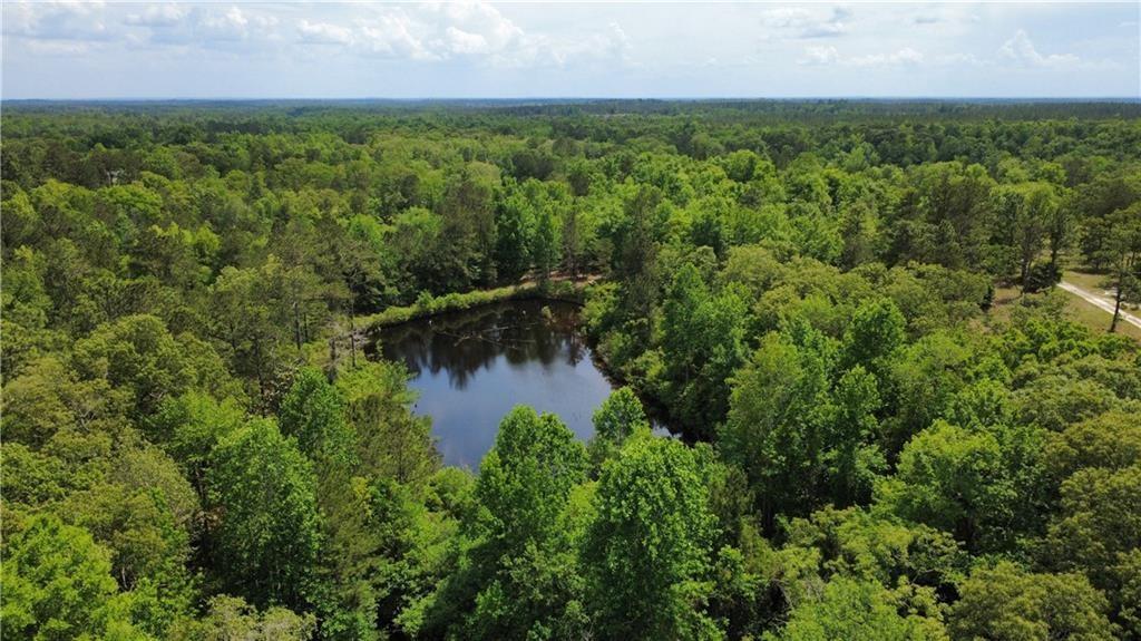 5591 Sandfort Road Seale, AL 36875 - Photo 4 of 10 Bird's eye view of a large body of water and a forest
