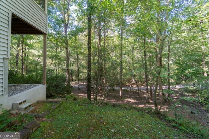 55 Santa Pera Drive Cleveland, GA 30528 - Photo 16 of 89