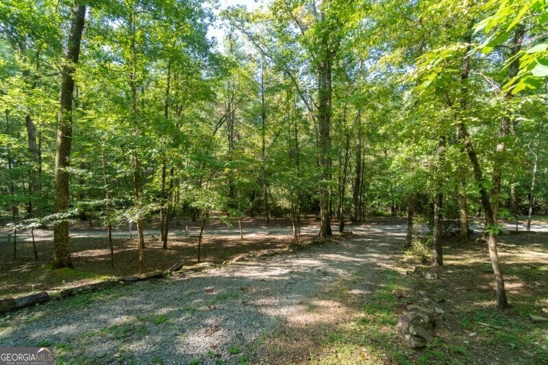 55 Santa Pera Drive Cleveland, GA 30528 - Photo 25 of 89