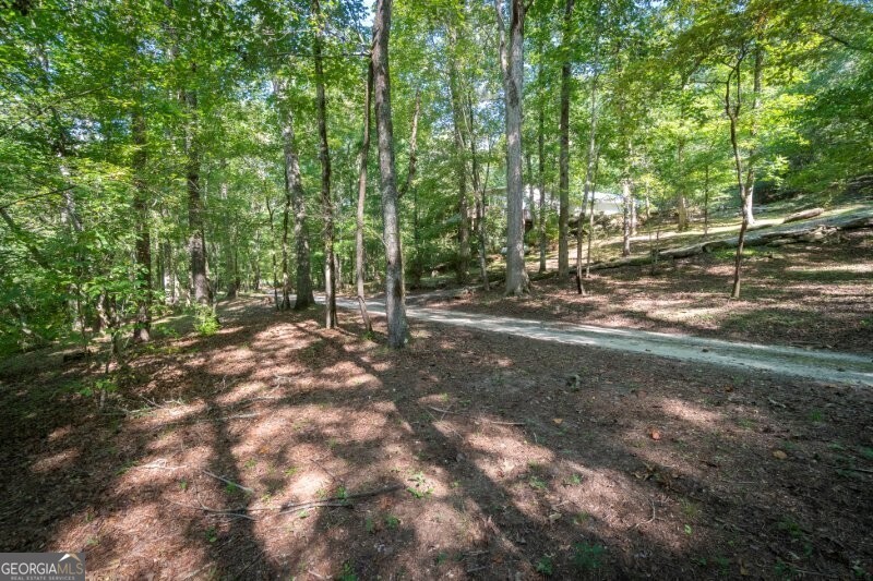 55 Santa Pera Drive Cleveland, GA 30528 - Photo 32 of 89