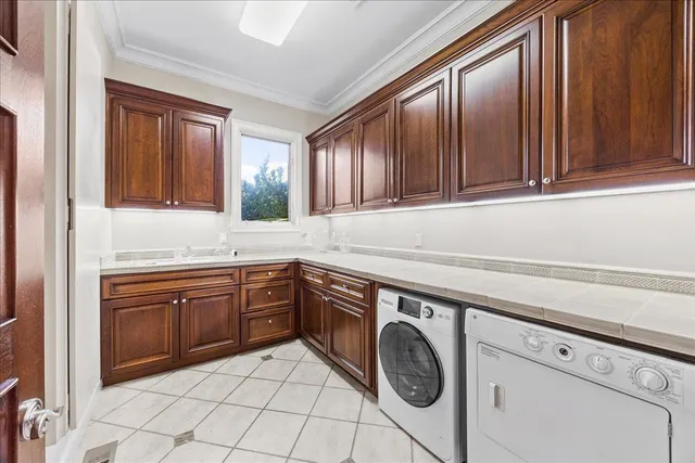 a view of a yard with plants and large trees