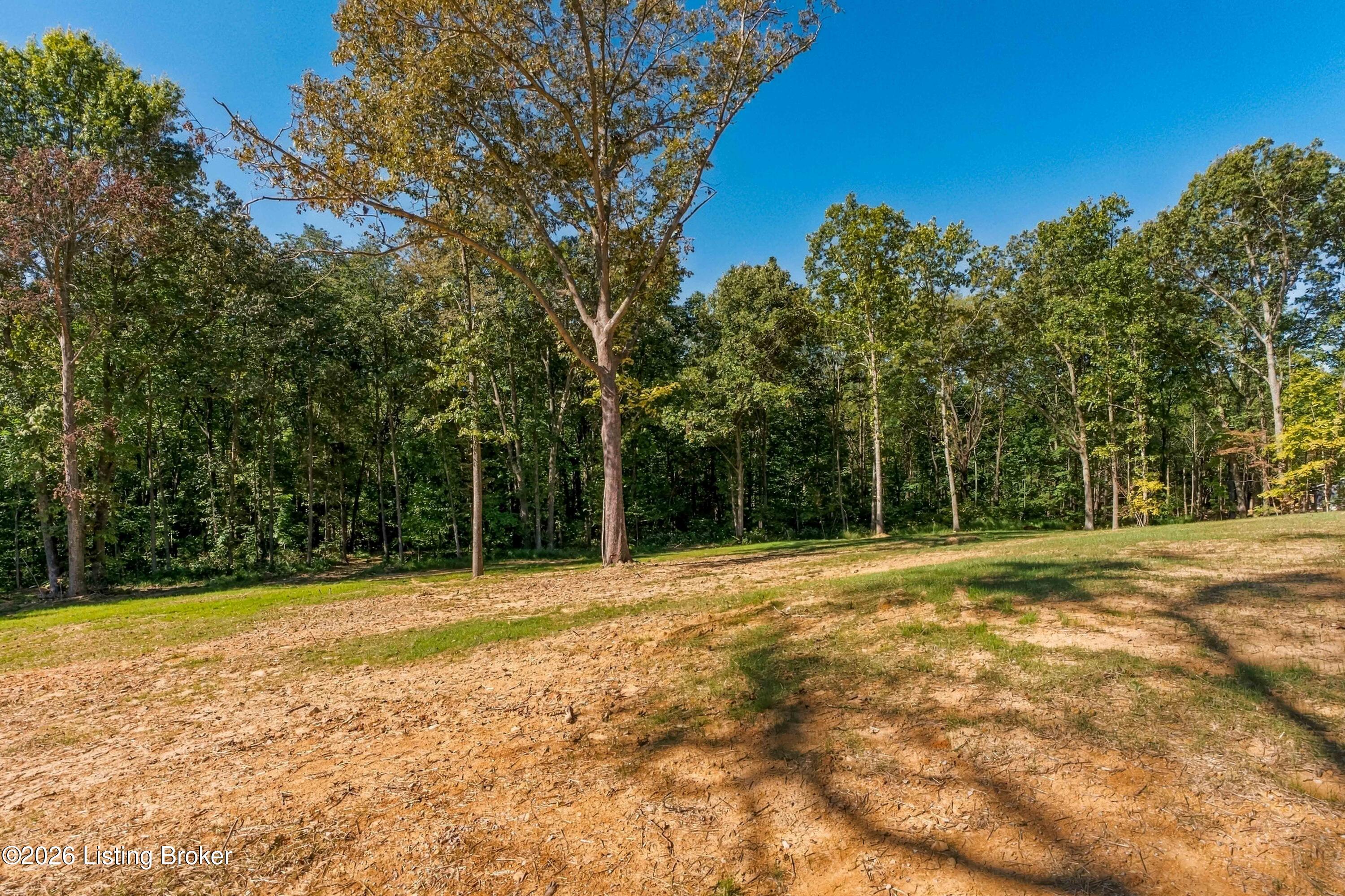 4489 Berrytown Road Rineyville, KY 40162 - Photo 39 of 39 39 - Yard