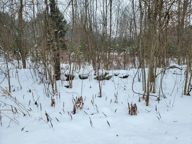 $85,000 | 1735 South Road, Bradford, VT 05033