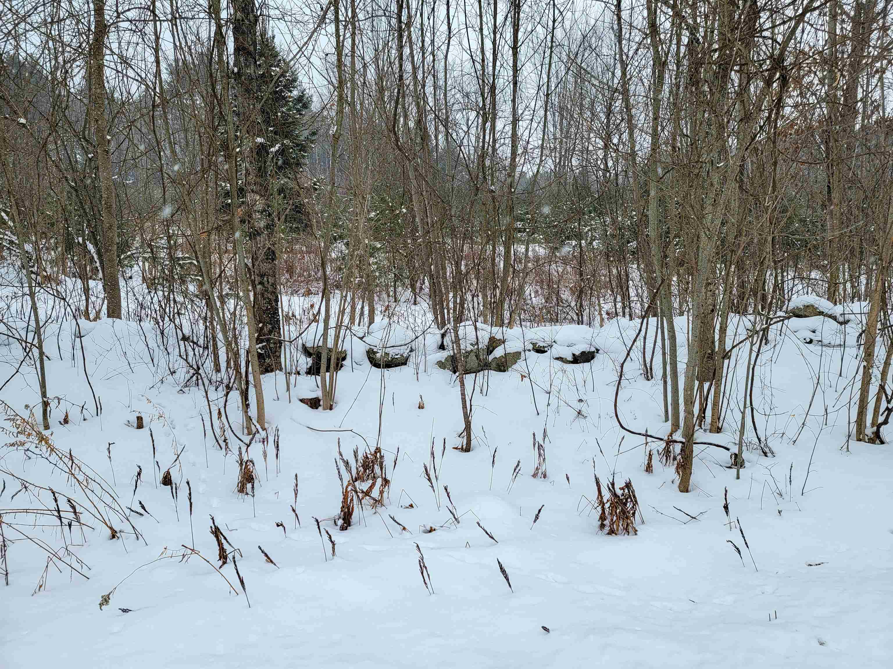 1735 South Road Bradford, VT 05033 - Photo 11 of 45