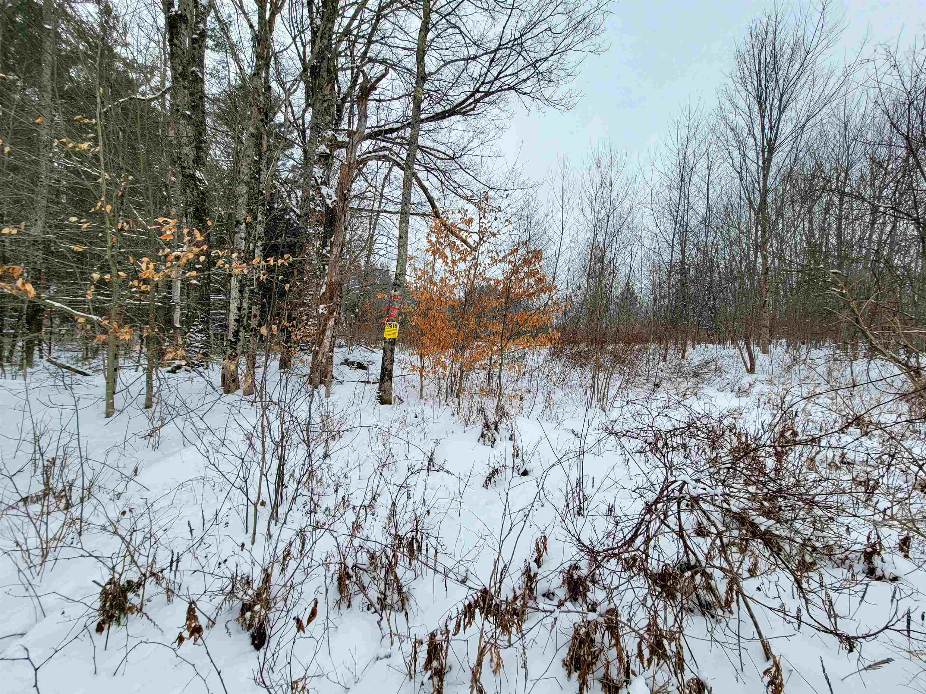 1735 South Road Bradford, VT 05033 - Photo 12 of 45