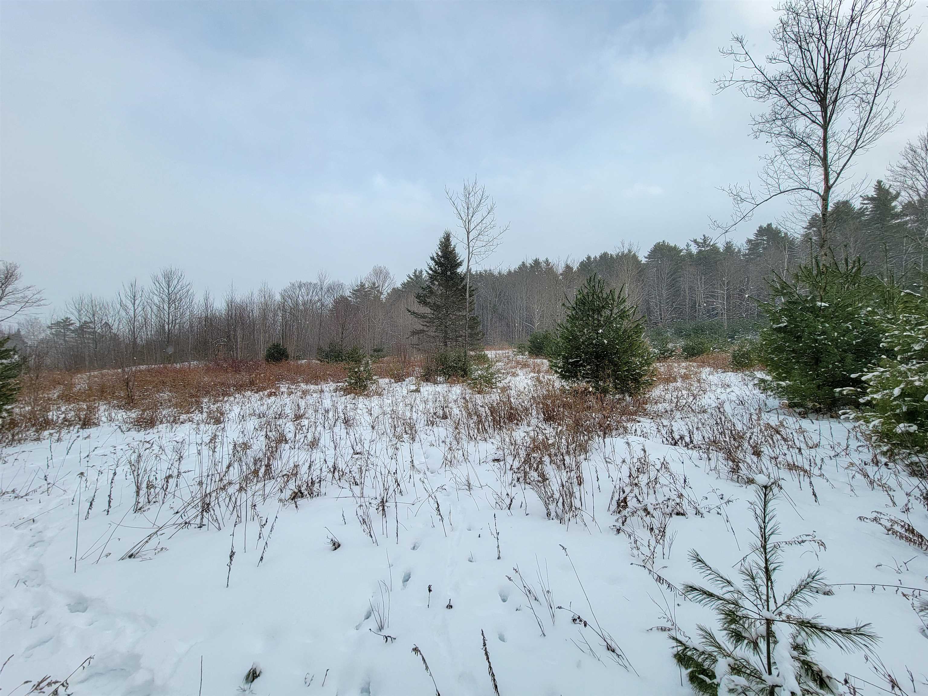 1735 South Road Bradford, VT 05033 - Photo 17 of 45