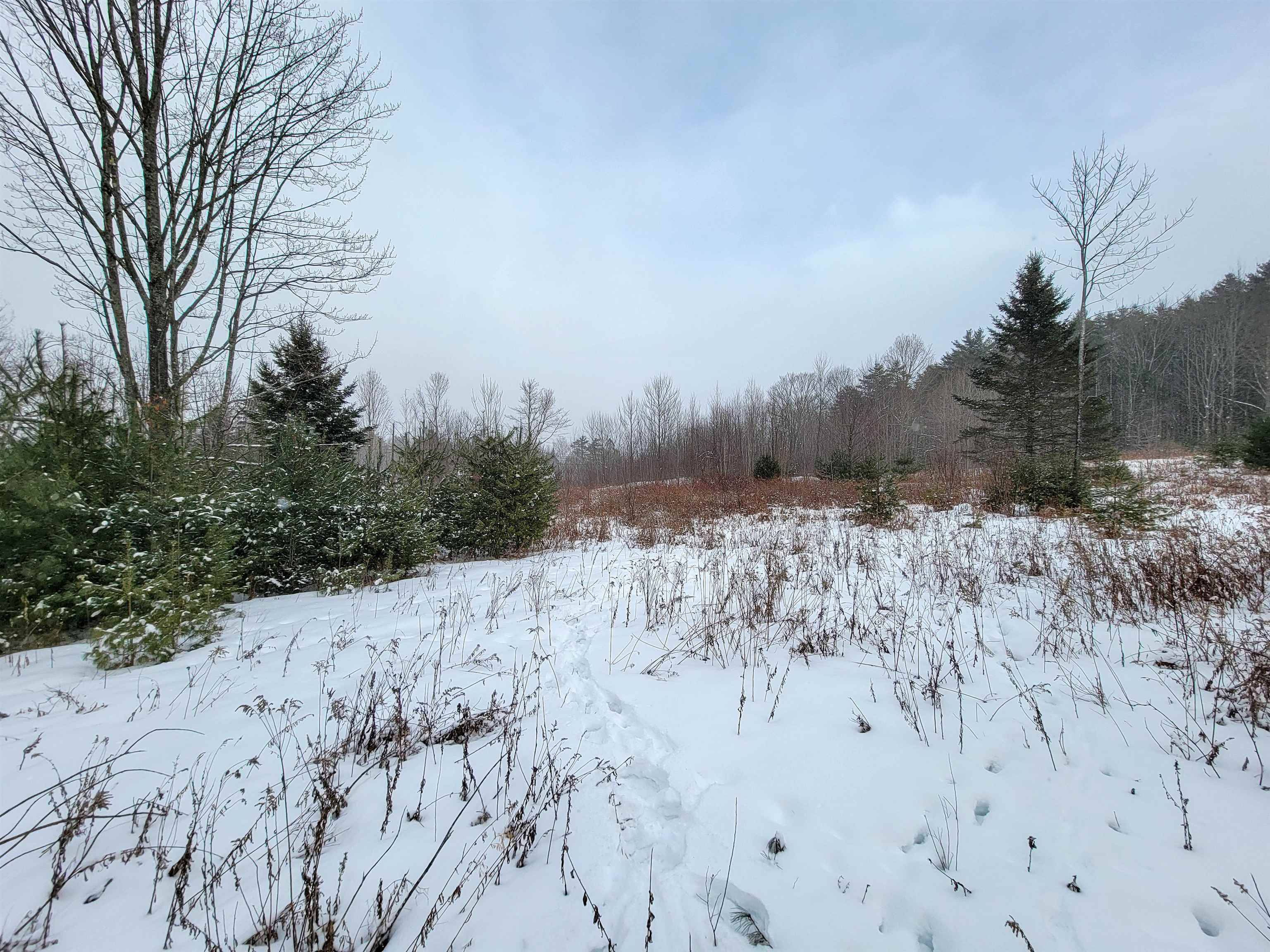 1735 South Road Bradford, VT 05033 - Photo 18 of 45