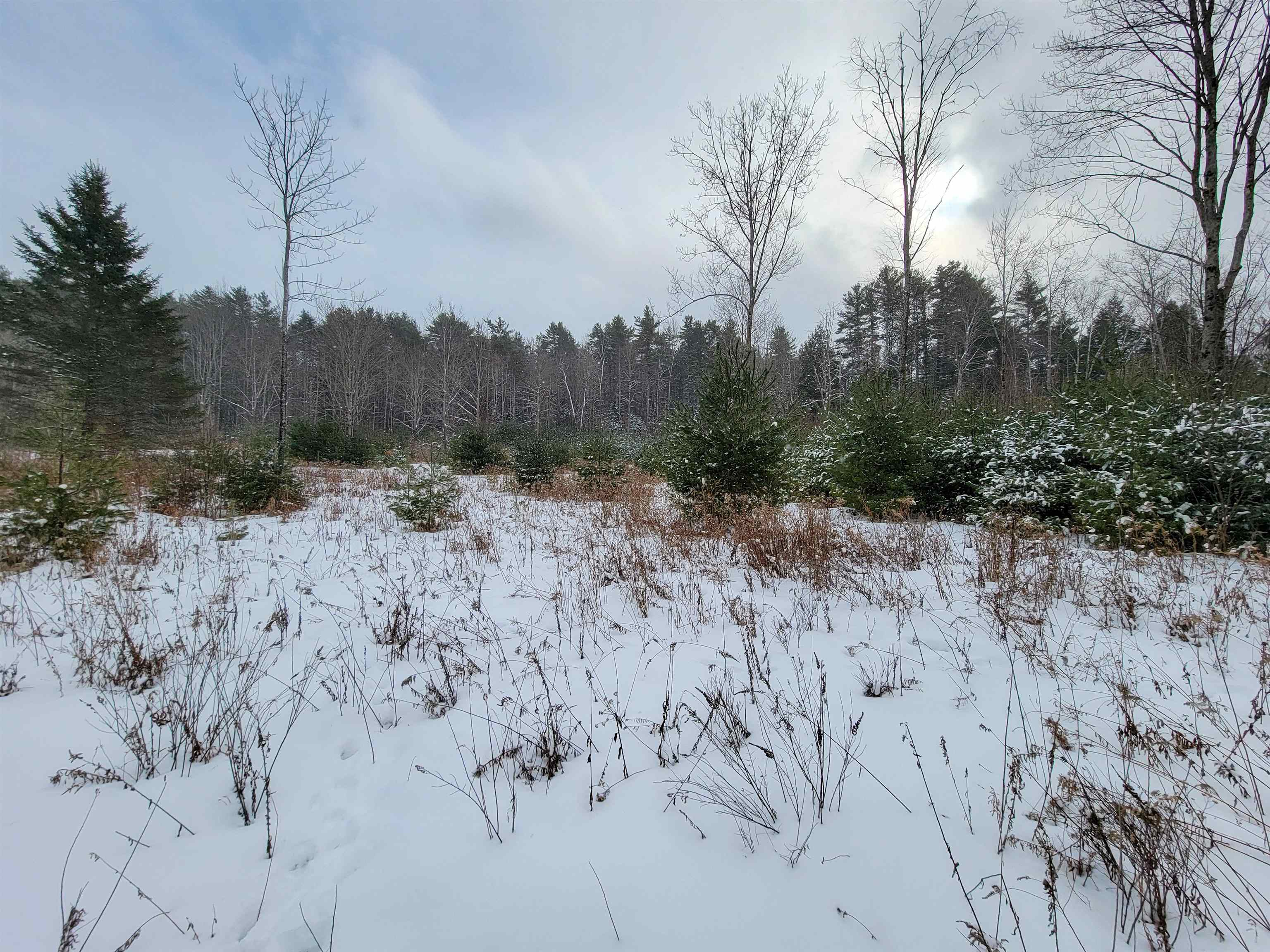 1735 South Road Bradford, VT 05033 - Photo 19 of 45