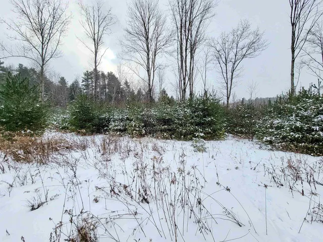 $85,000 | 1735 South Road, Bradford, VT 05033