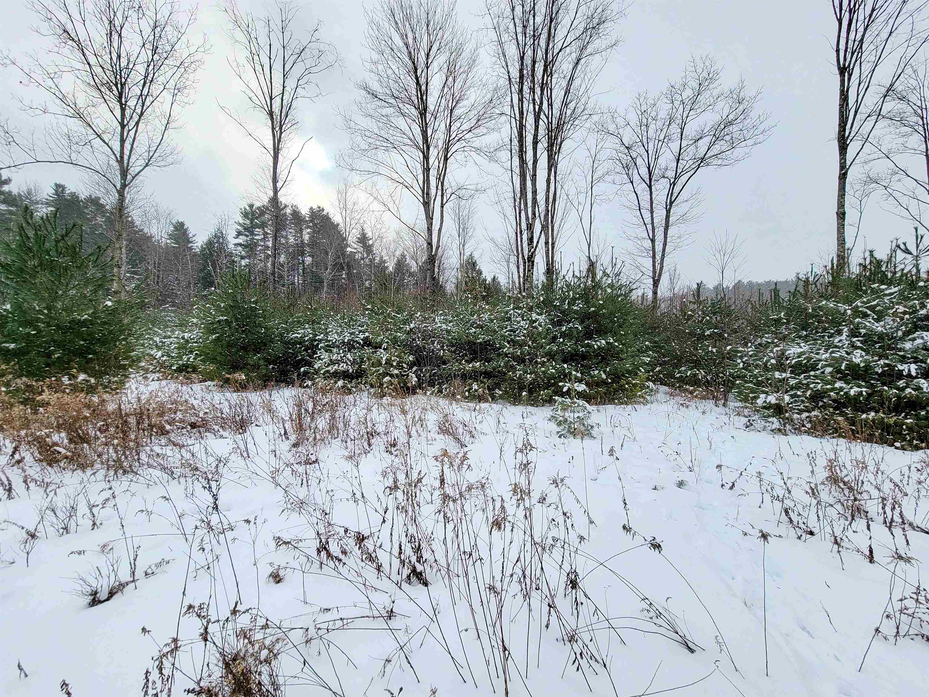 1735 South Road Bradford, VT 05033 - Photo 20 of 45