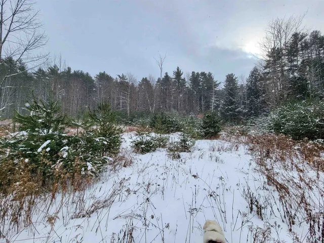 $85,000 | 1735 South Road, Bradford, VT 05033