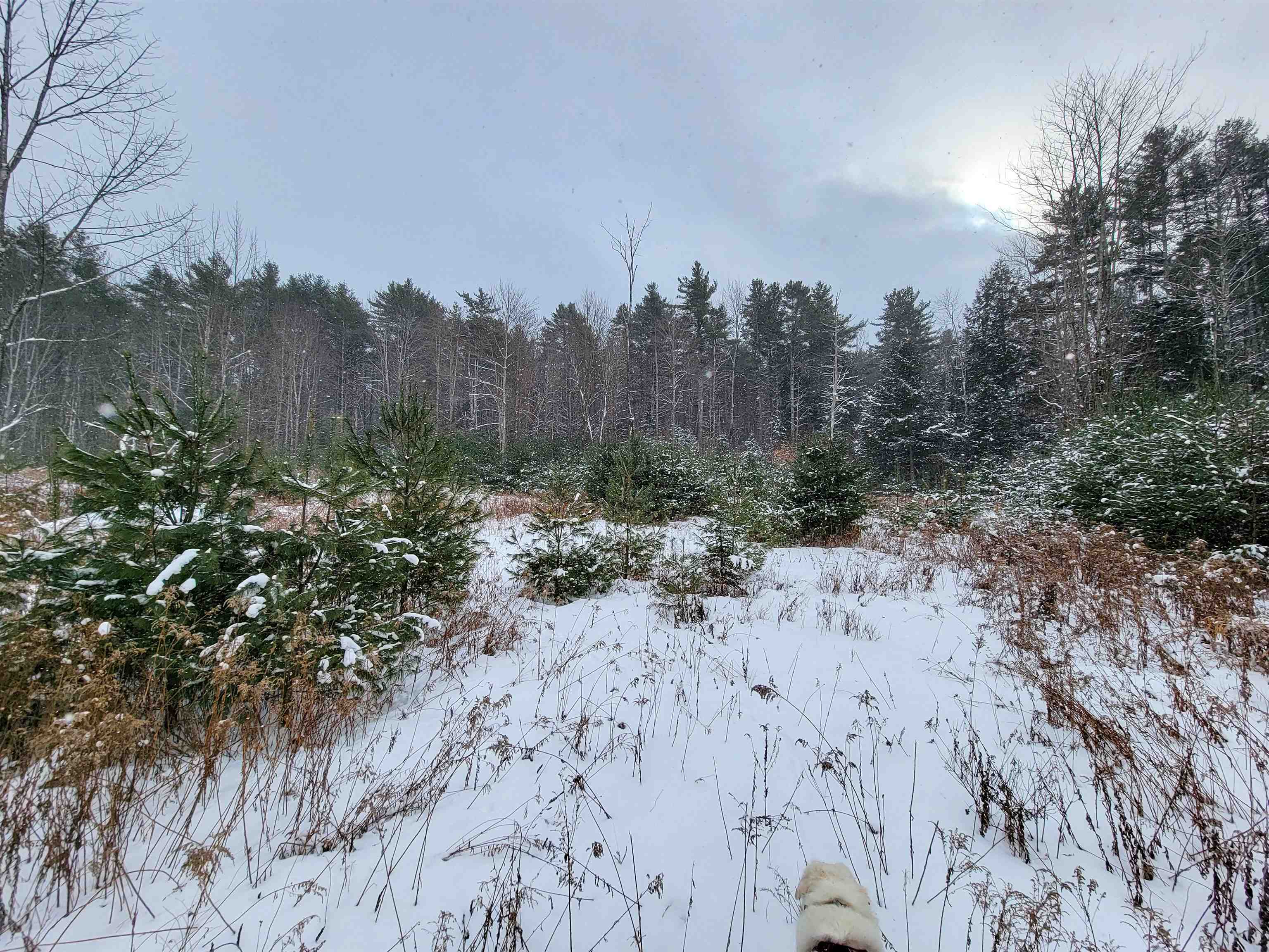 1735 South Road Bradford, VT 05033 - Photo 21 of 45