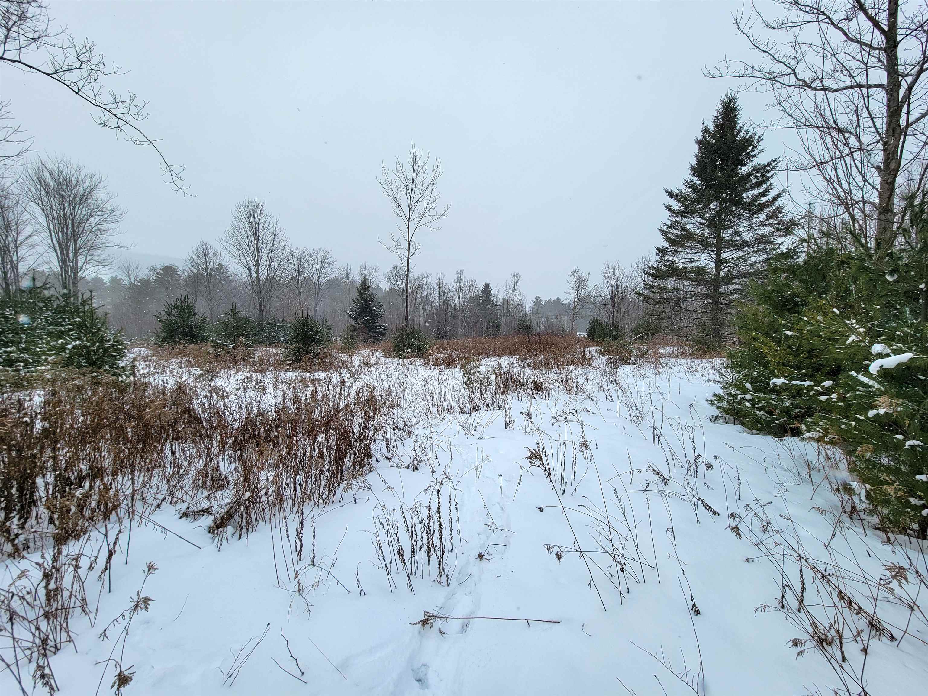 1735 South Road Bradford, VT 05033 - Photo 22 of 45