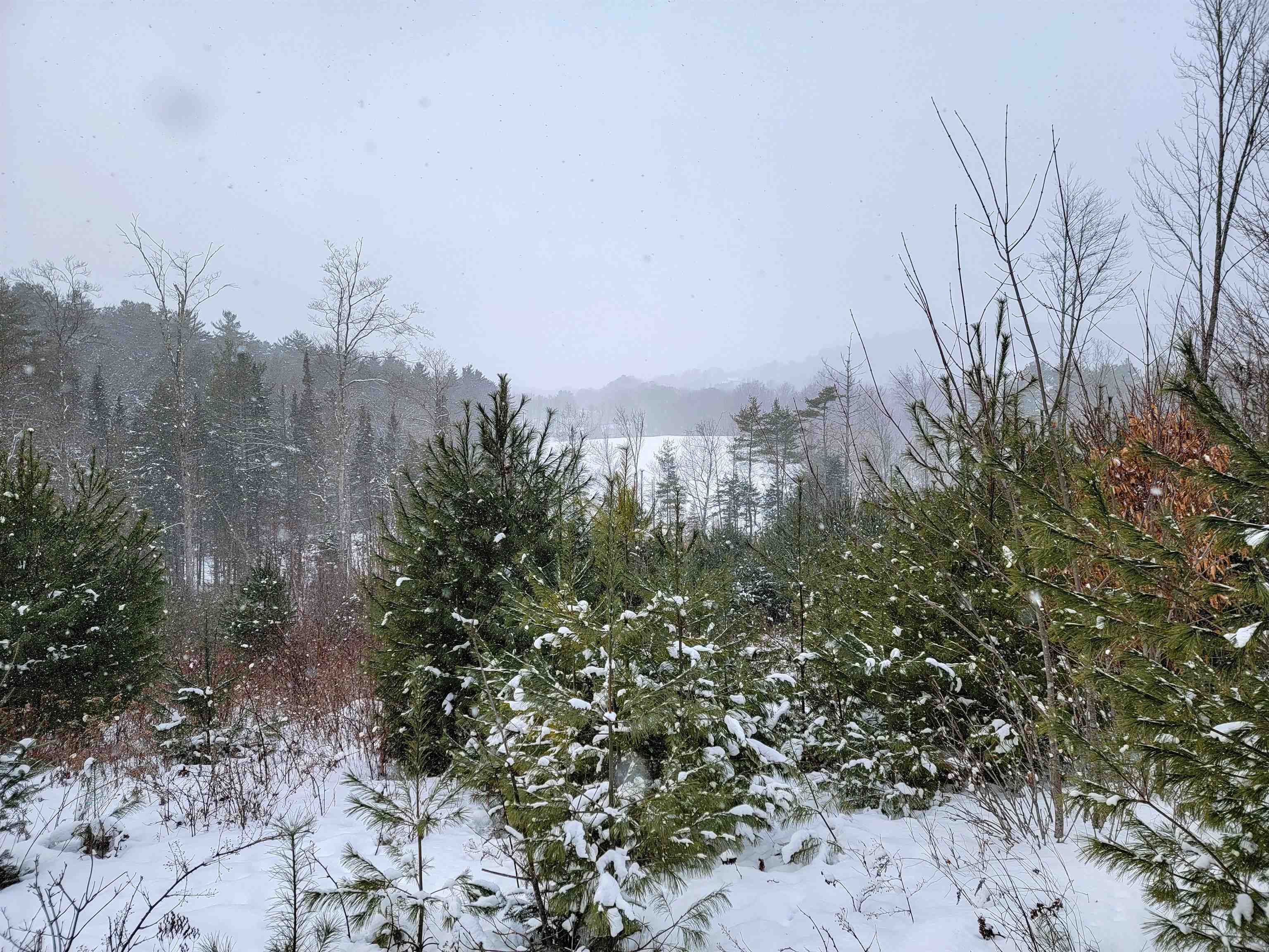 1735 South Road Bradford, VT 05033 - Photo 23 of 45